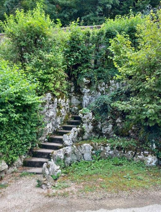 Photo of Others in Beure