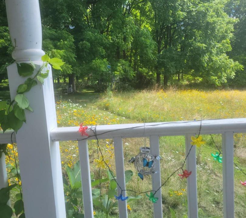 Photo of Others in Victor