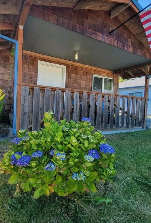 Photo of Others in Nehalem