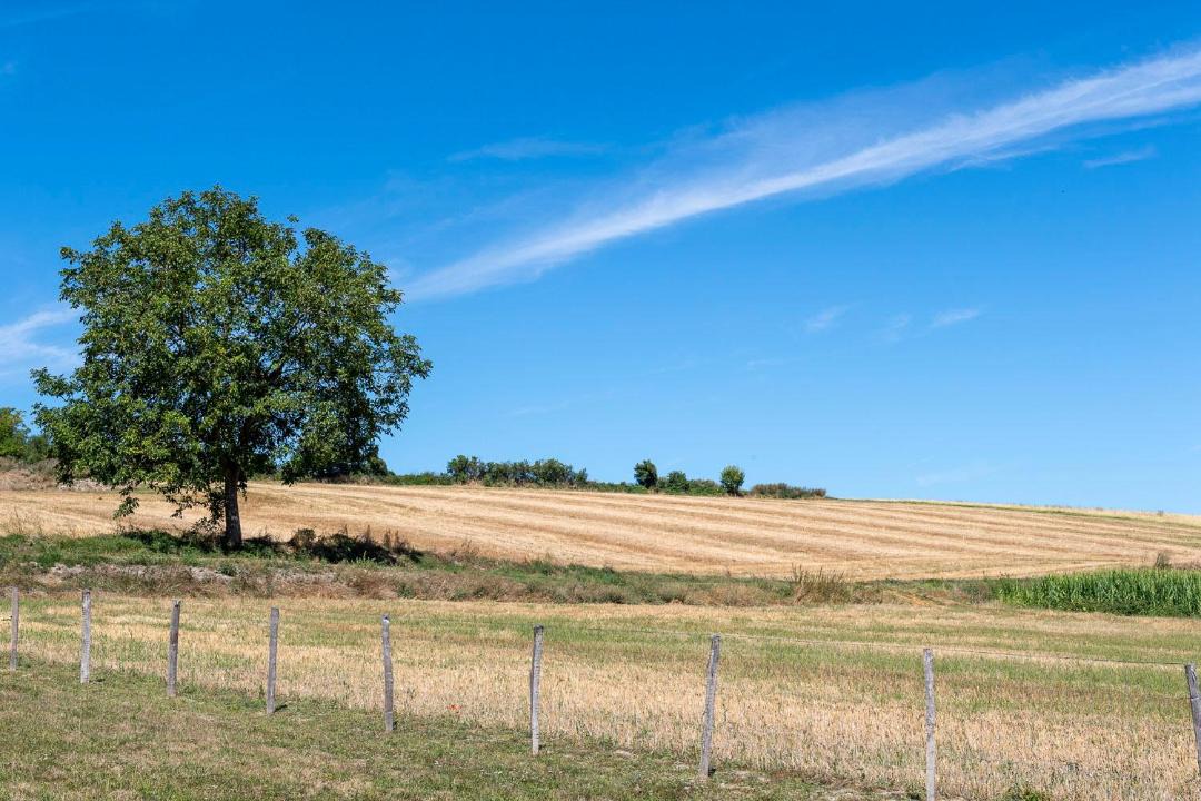 Photo of Others in Lemere