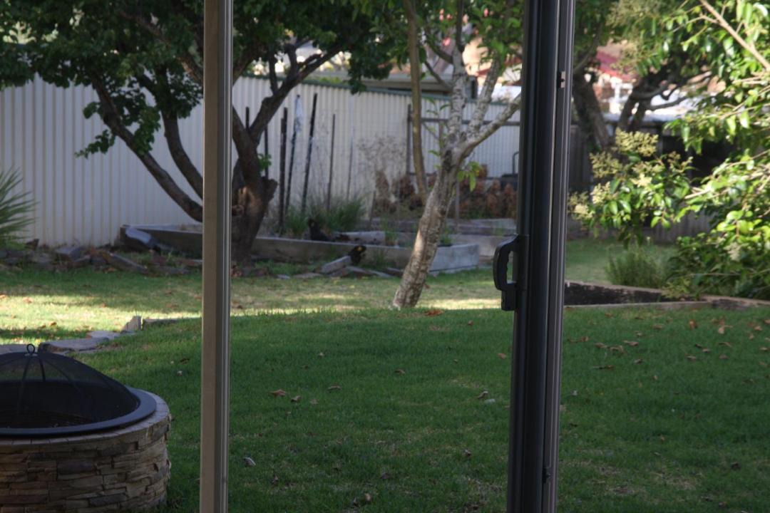 Photo of Others in Hahndorf