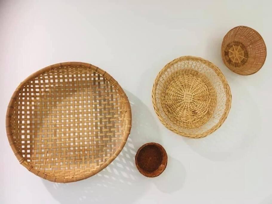 Photo of Others in Port Macquarie