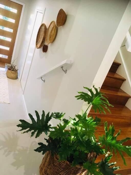 Photo of Others in Port Macquarie