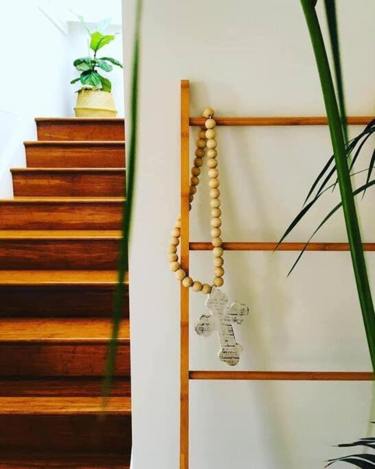 Photo of Others in Port Macquarie