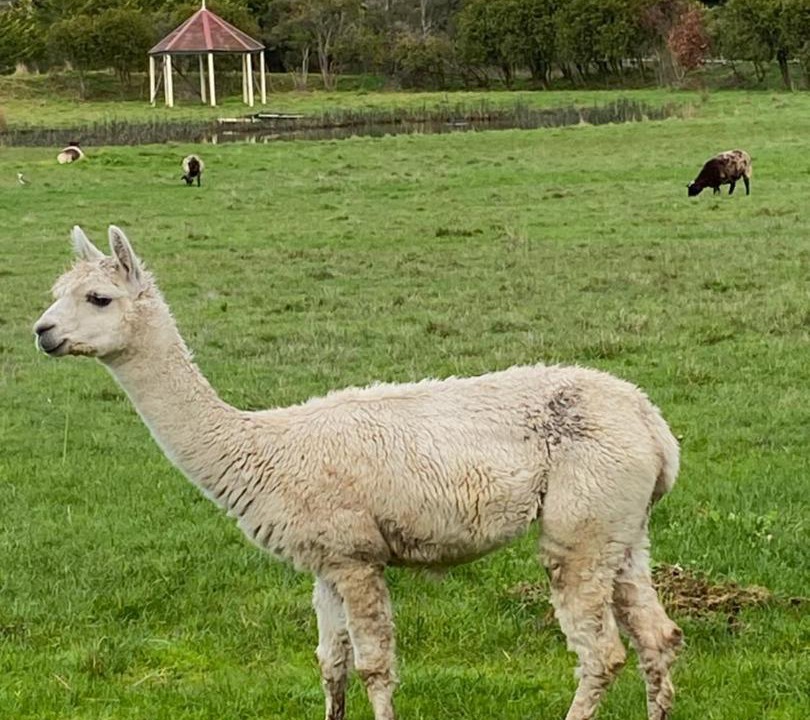 Photo of Others in Somerville