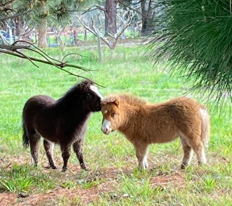 Photo of Others in Somerville