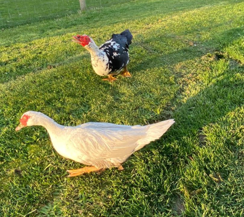 Photo of Others in Somerville