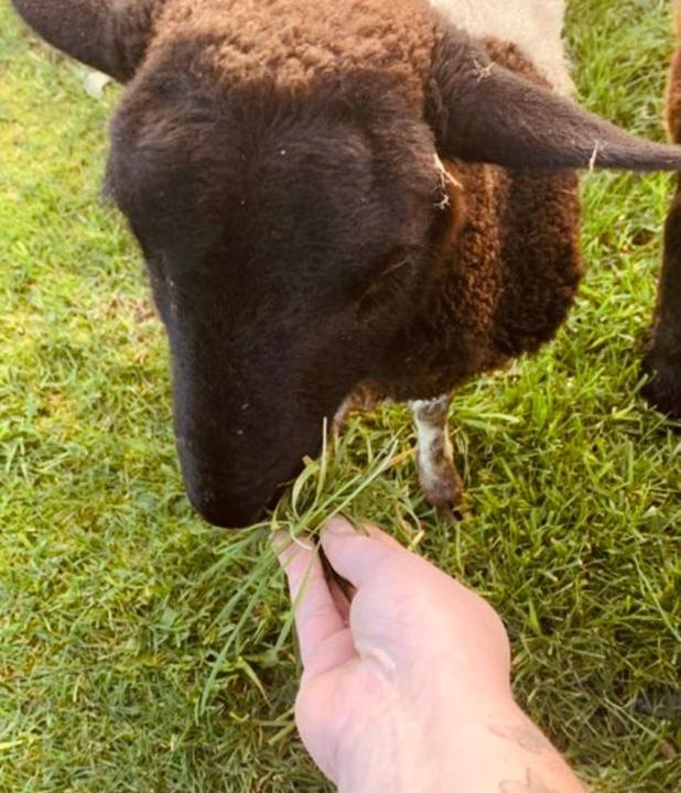 Photo of Others in Somerville