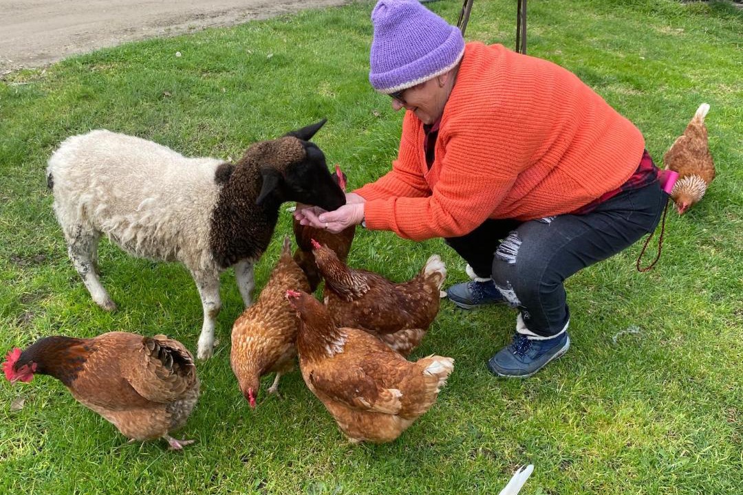 Photo of Others in Somerville