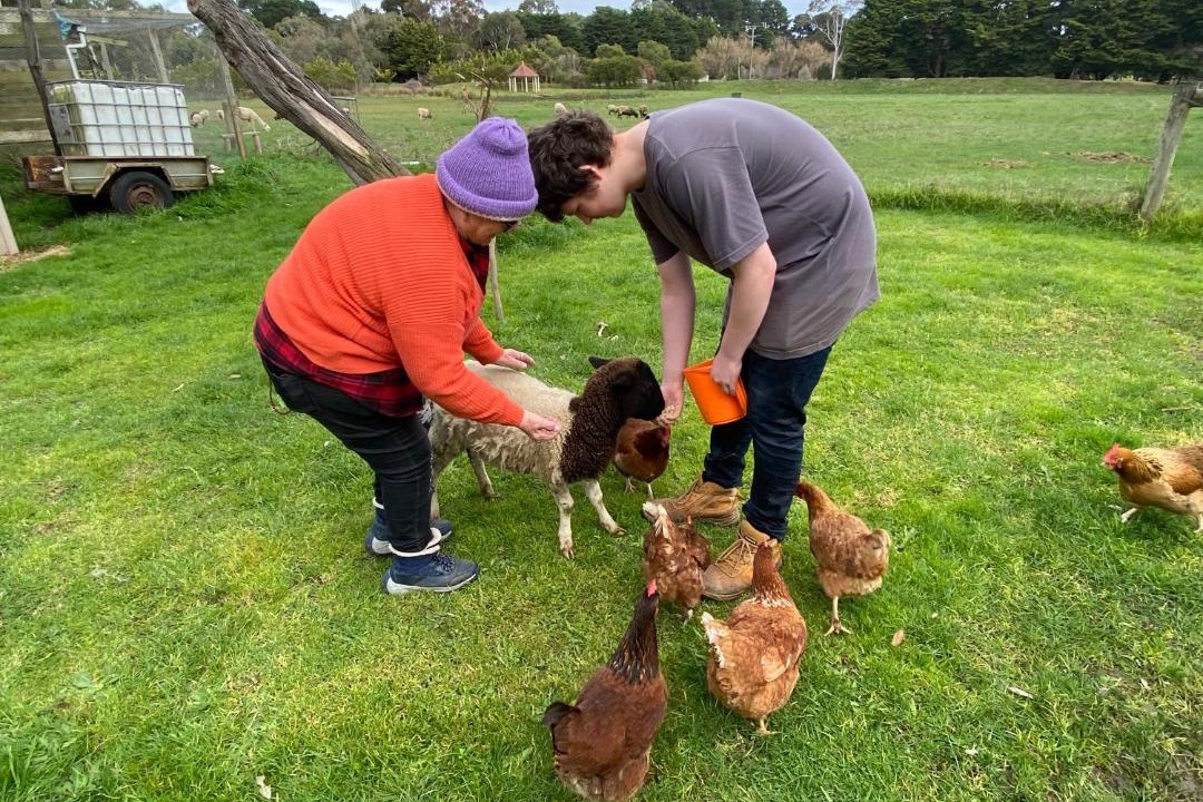 Photo of Others in Somerville