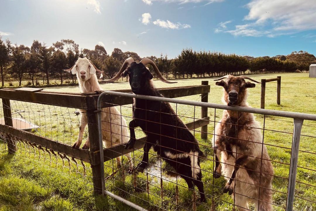 Photo of Others in Somerville