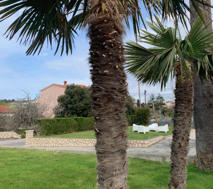 Photo of Outdoor in Palit