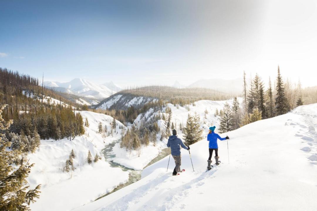 Photo of Others in Evergreen