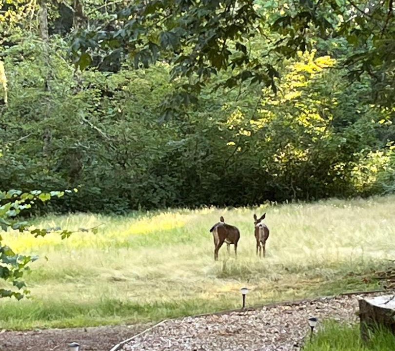 Photo of Others in Union Hill-Novelty Hill