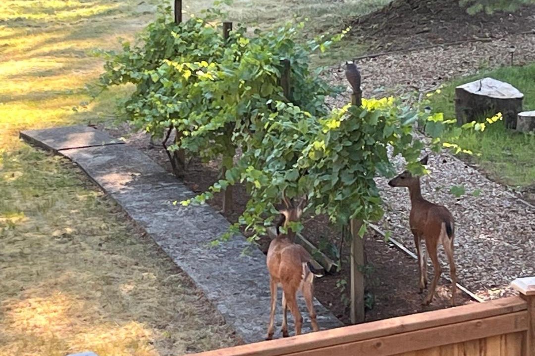 Photo of Others in Union Hill-Novelty Hill