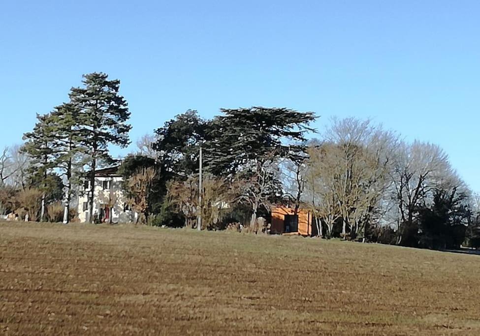 Photo of Buildings in Baziege