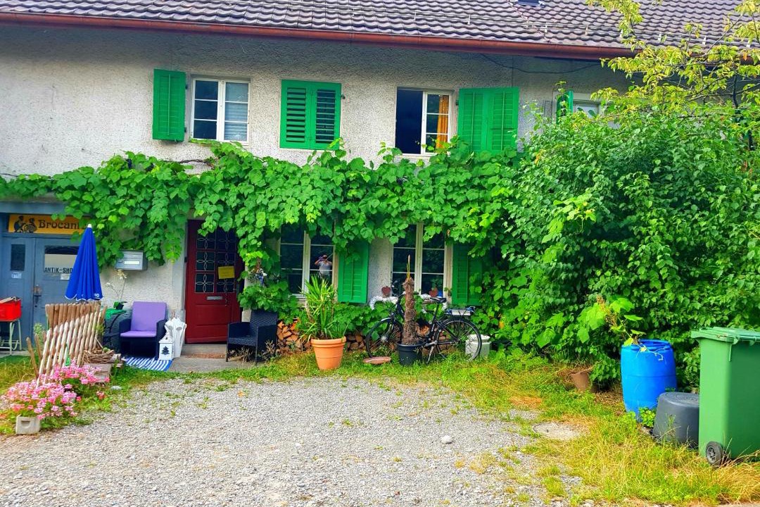 Photo of Others in Uster District