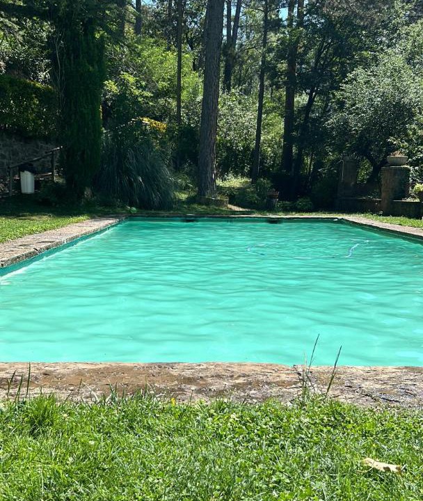 Photo of Outdoor in Ribes De Freser
