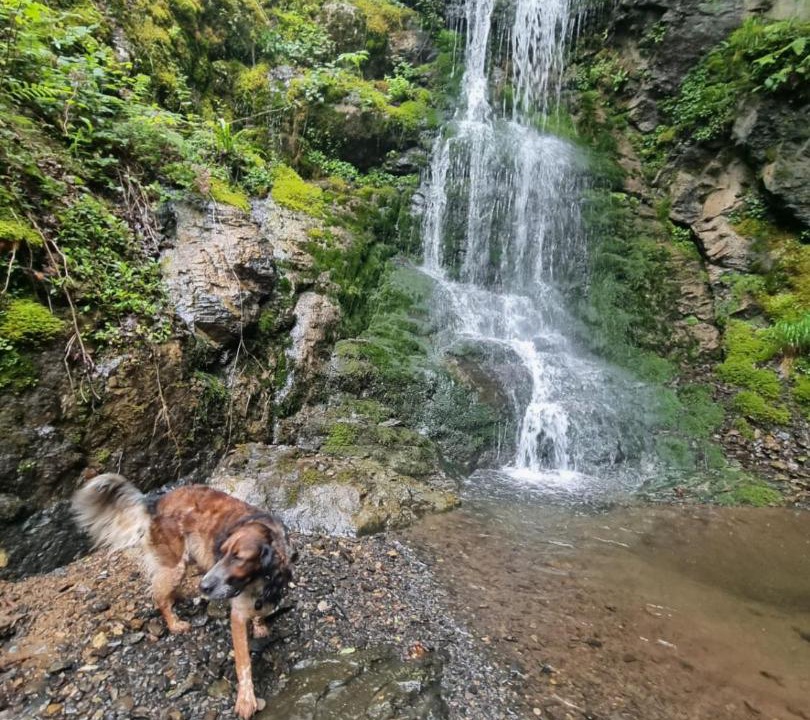 Photo of Others in Lourdios-Ichere