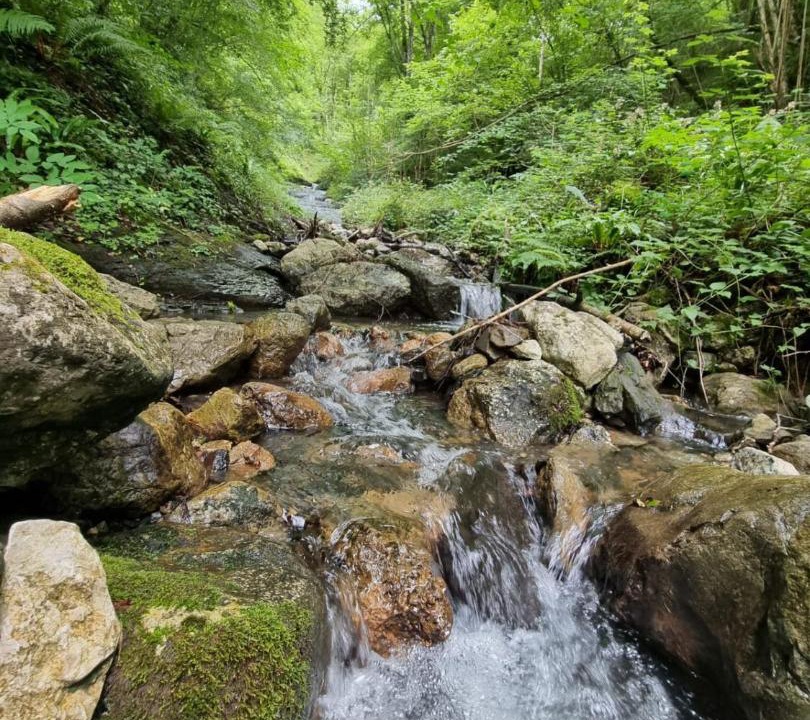 Photo of Others in Lourdios-Ichere