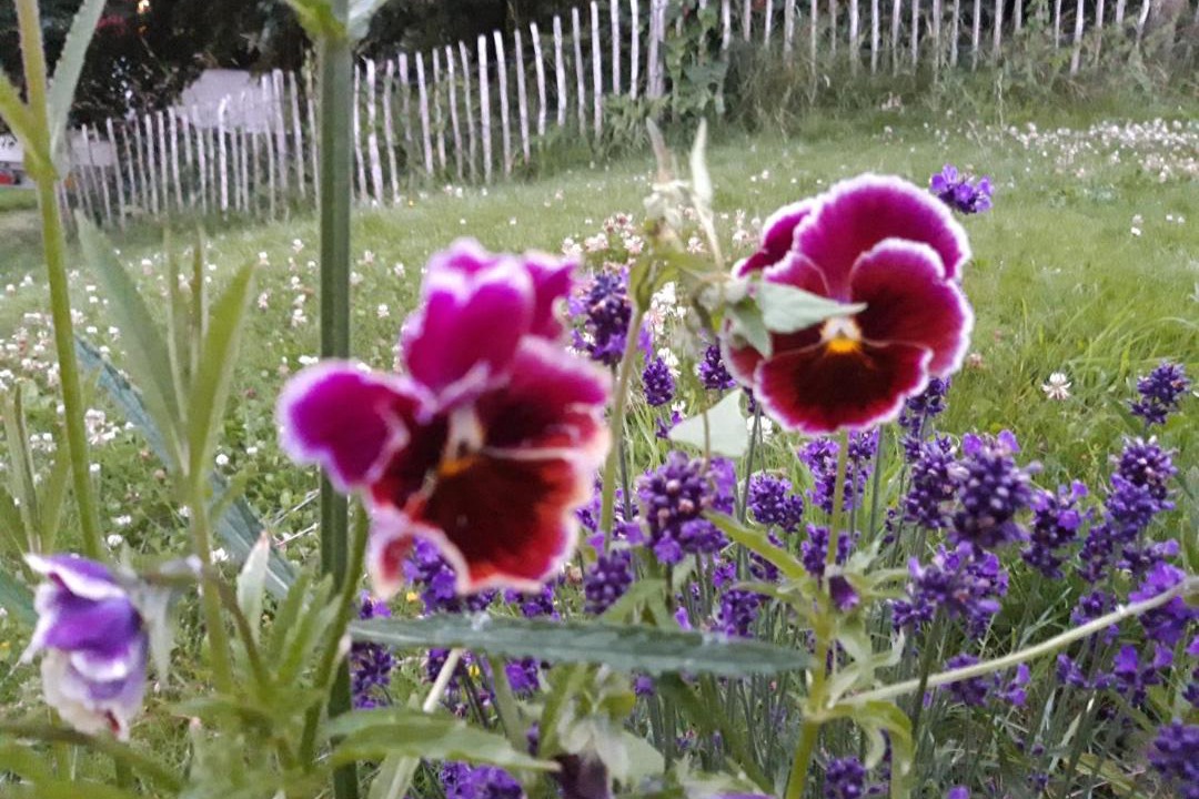 Photo of Outdoor in Nibe