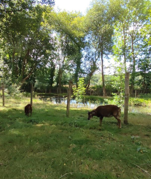 Photo of Others in Plouer-sur-Rance