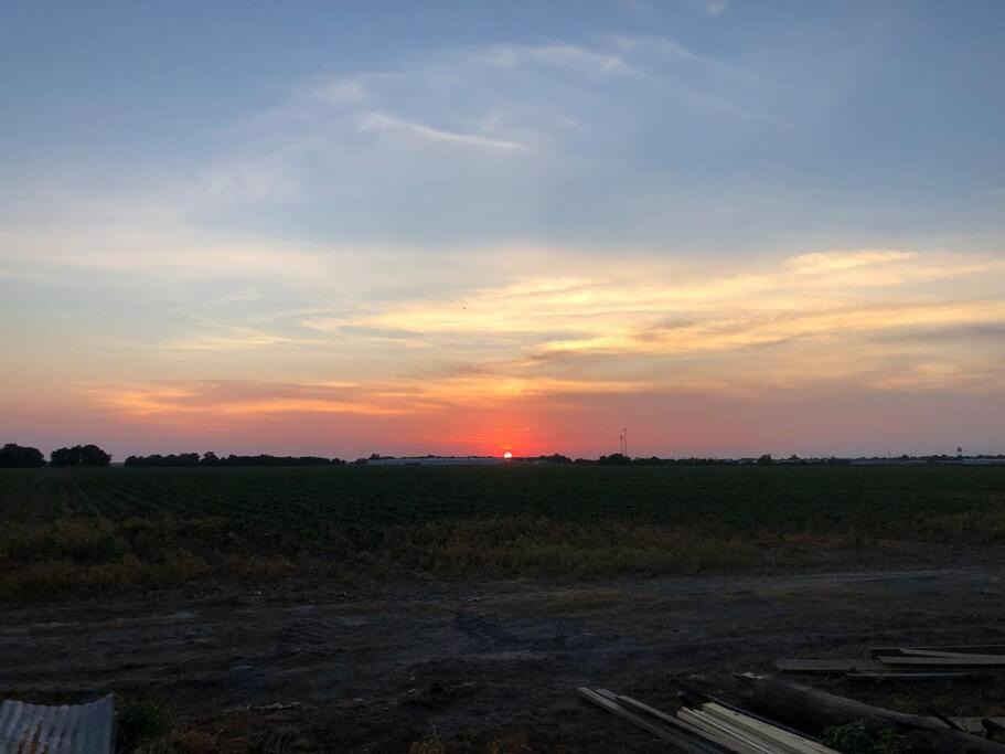 Photo of Others in Clarksdale