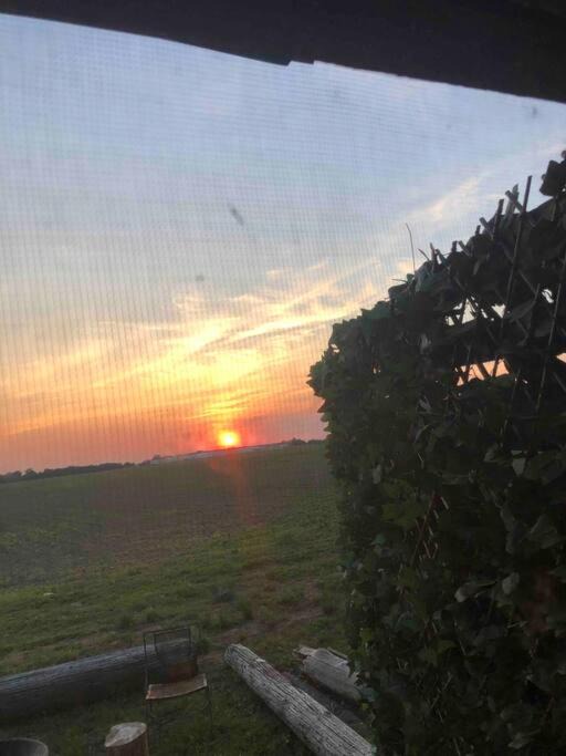 Photo of Others in Clarksdale