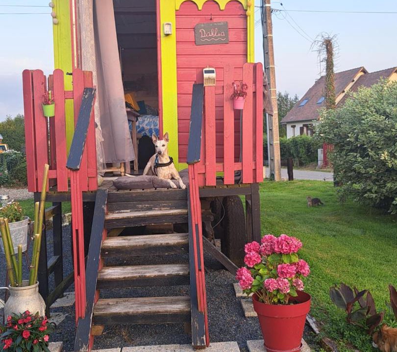 Photo of Others in Heurteauville