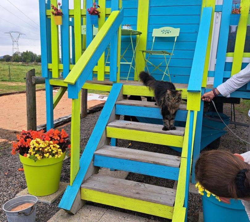 Photo of Others in Heurteauville