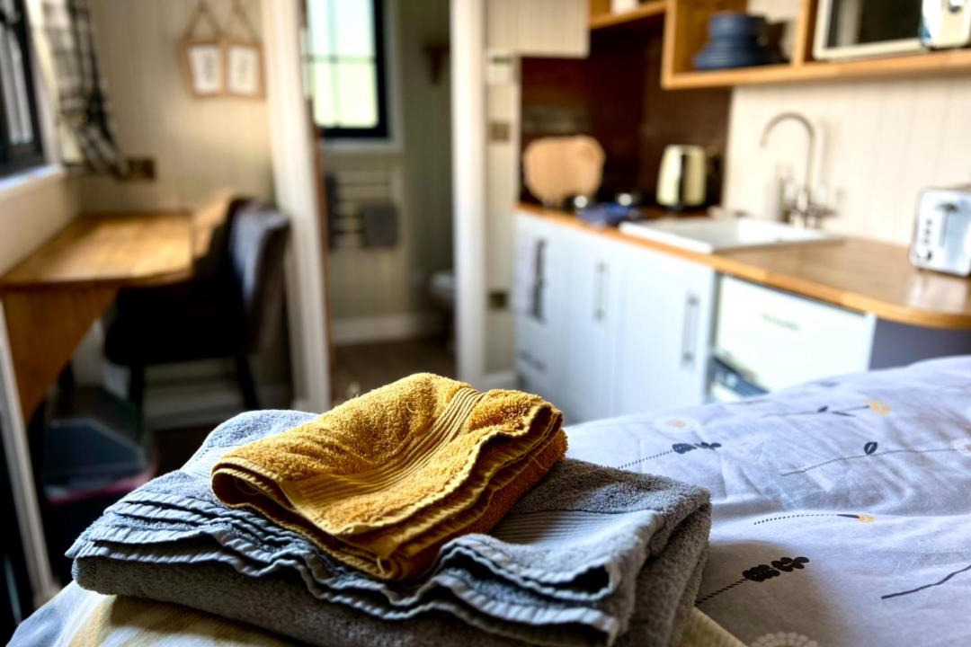 Photo of Others in Westward