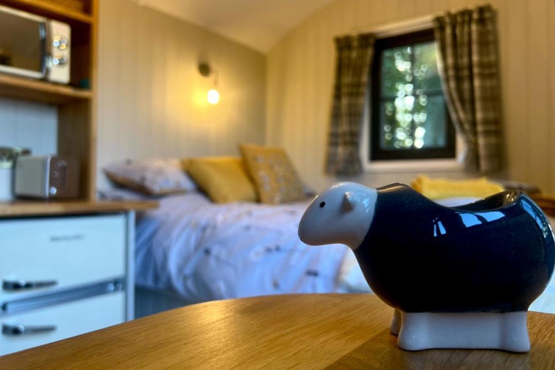 Photo of Others in Westward