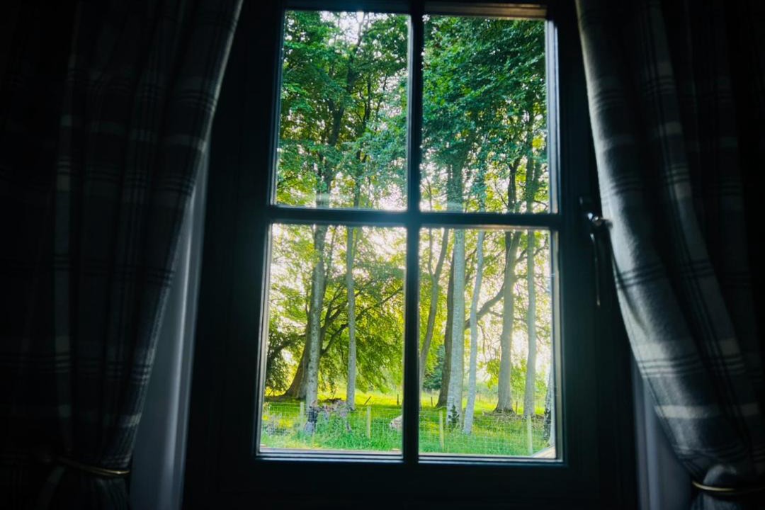 Photo of Others in Westward