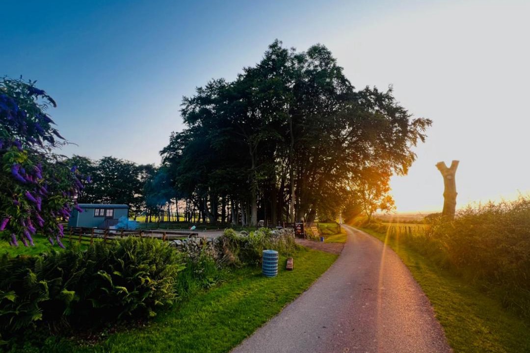 Photo of Others in Westward