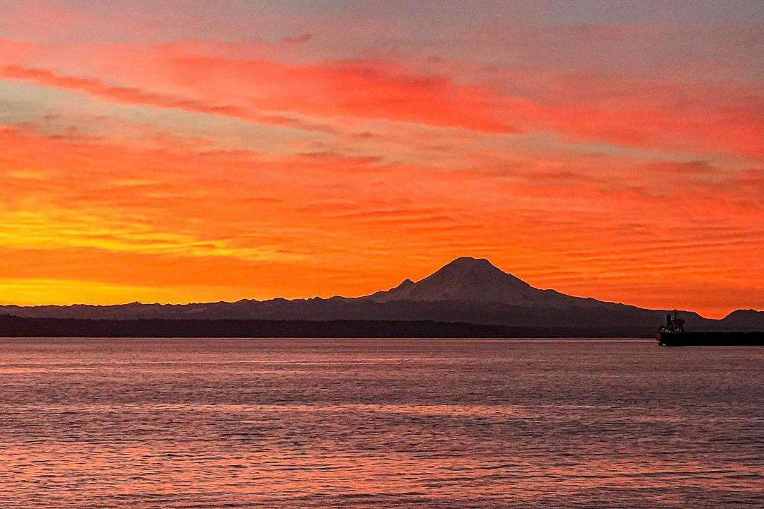 Photo of Others in Bainbridge Island