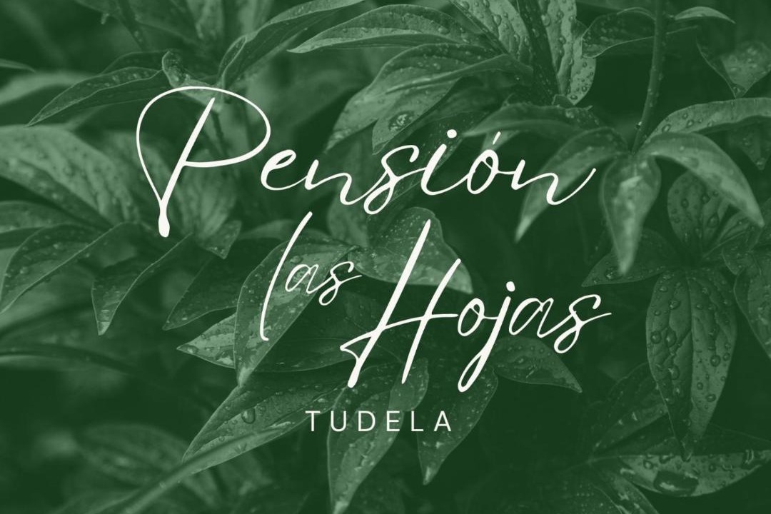 Photo of Others in Tudela