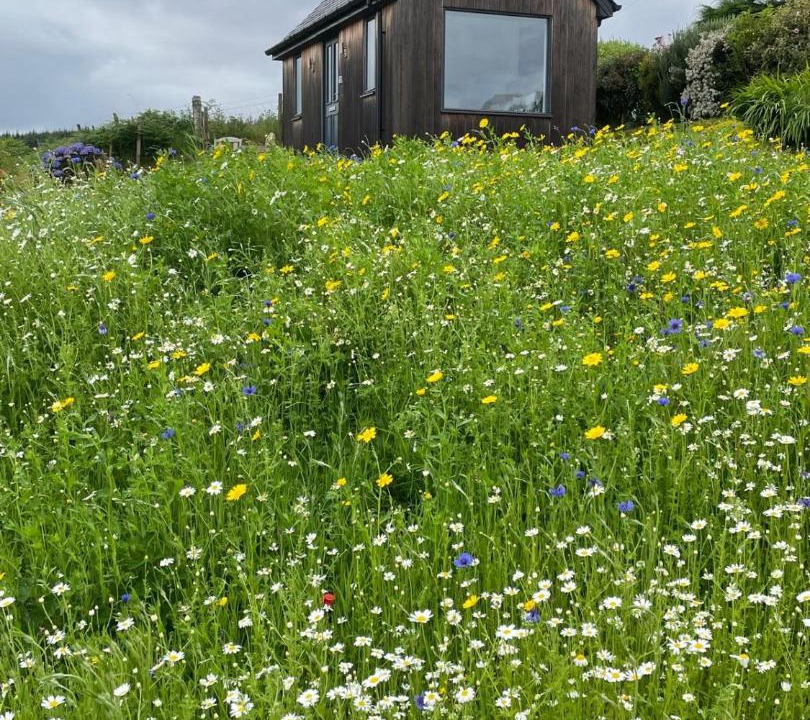 Photo of Buildings in Suladale