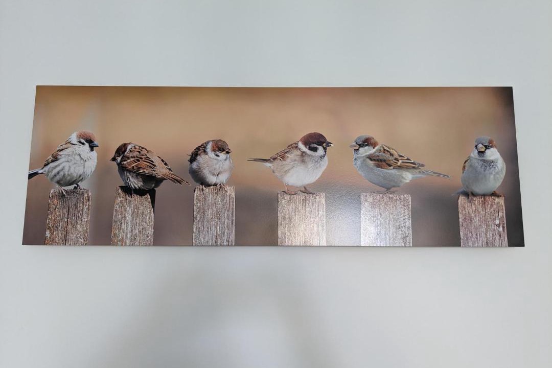 Photo of Others in La Roche-Posay