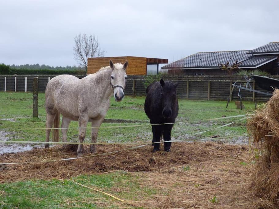 Photo of Others in Coutras