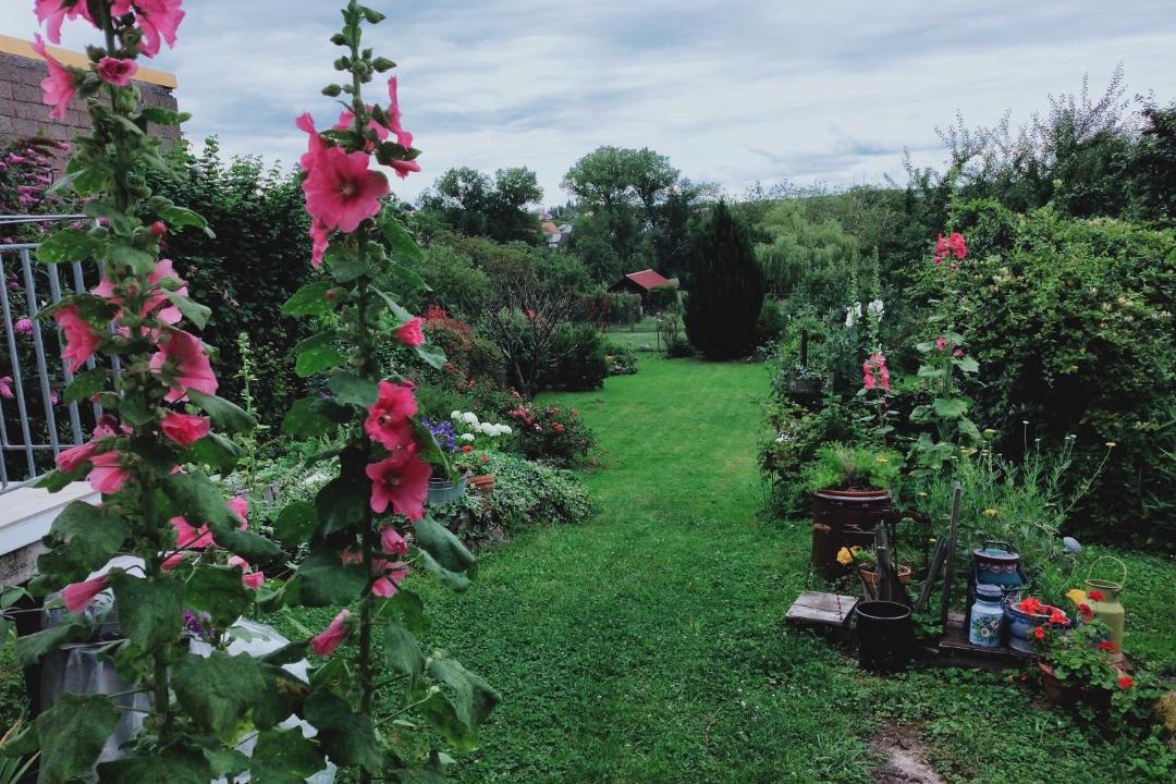 Photo of Others in Bining