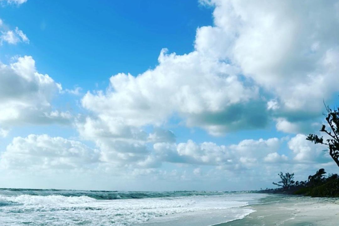 Photo of Others in Edgewater