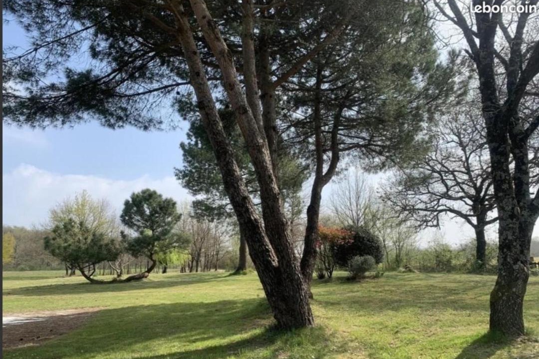 Photo of Outdoor in Sistels