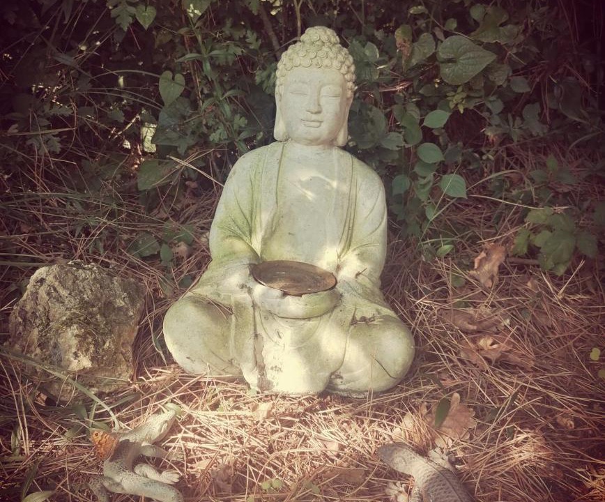 Photo of Others in Serignac