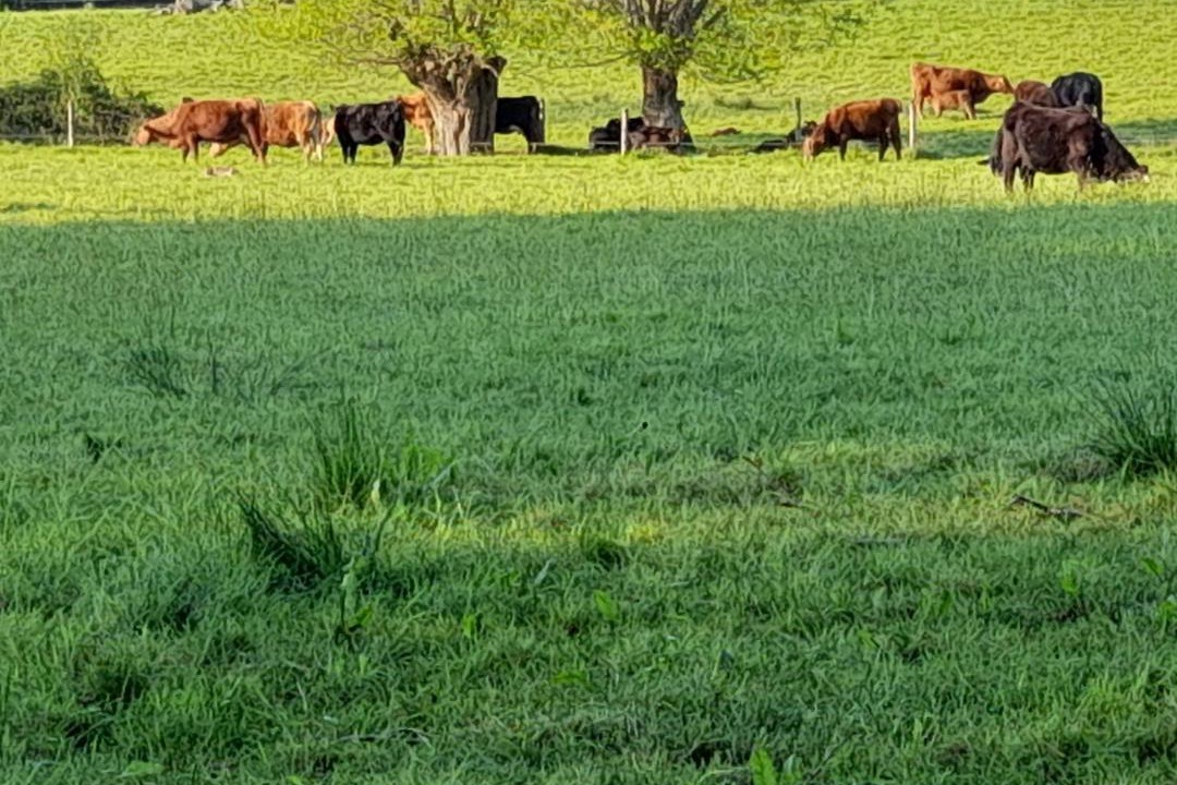 Photo of Others in Norton St. Philip