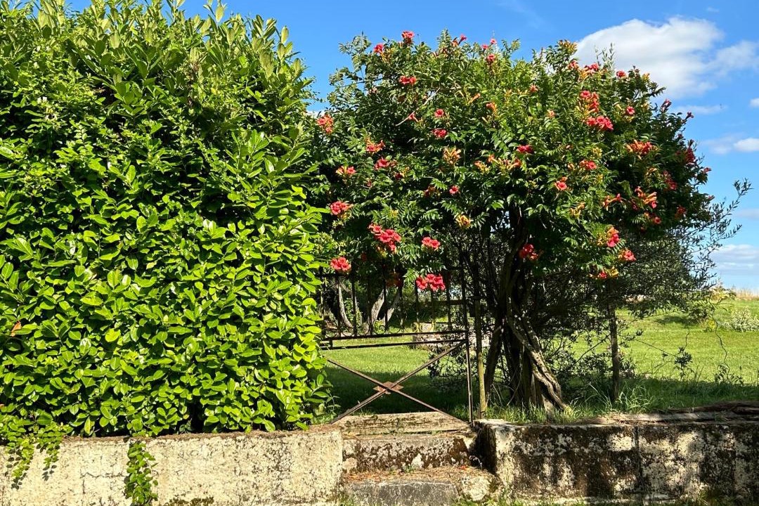 Photo of Outdoor in Crastes