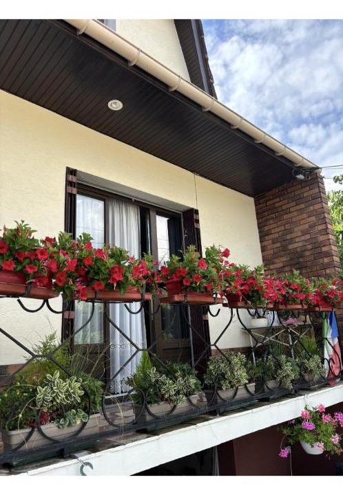 Photo of Others in Drancy