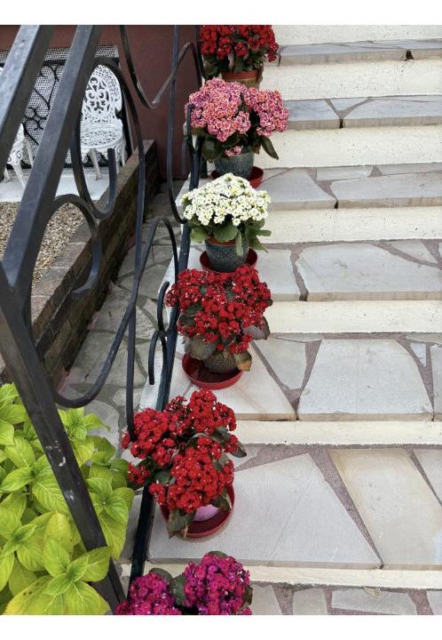 Photo of Others in Drancy