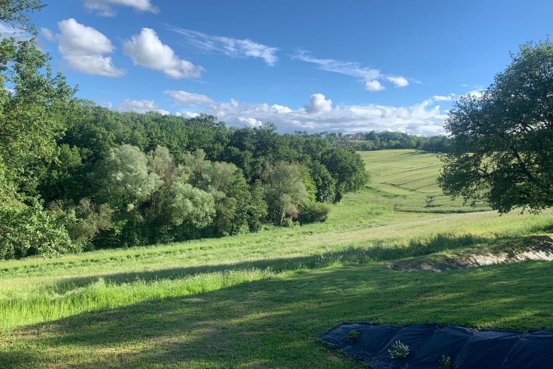 Photo of Others in Gemil