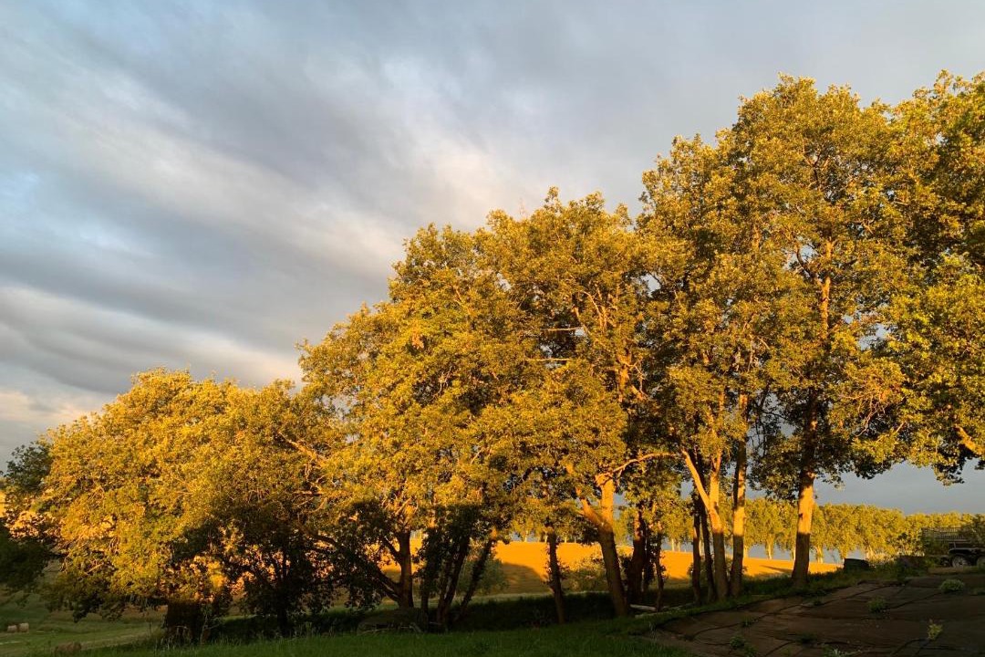 Photo of Others in Gemil