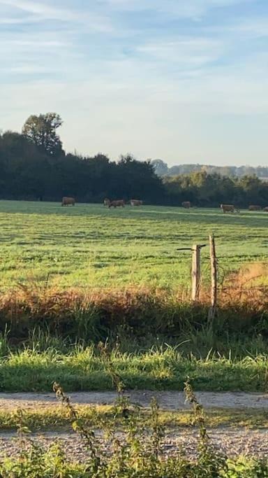 Photo of Others in Mailhac-sur-Benaize